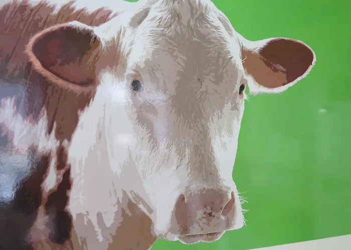 Apartment Le Notre Dame Honfleur